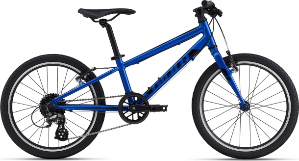 Детский двухколесный велосипед Giant ARX 20 (2022)